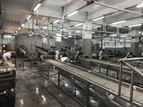 食品廠管道消毒的方法與注意事項