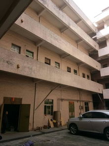 大朗毛織市場旁8元獨院標準廠房出租，打造毛織產業福地